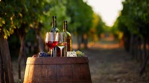 Wine